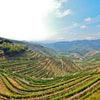 Northern Portugal: Discovering the Soul of a Nation Beyond the Tagus