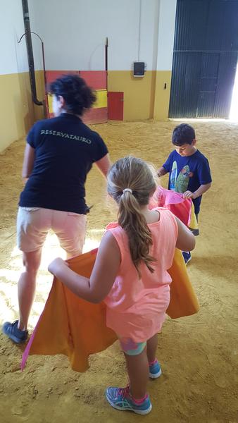 Spain Trip Planner: bull farm Ronda