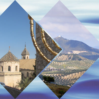 Lucena churches and olive groves