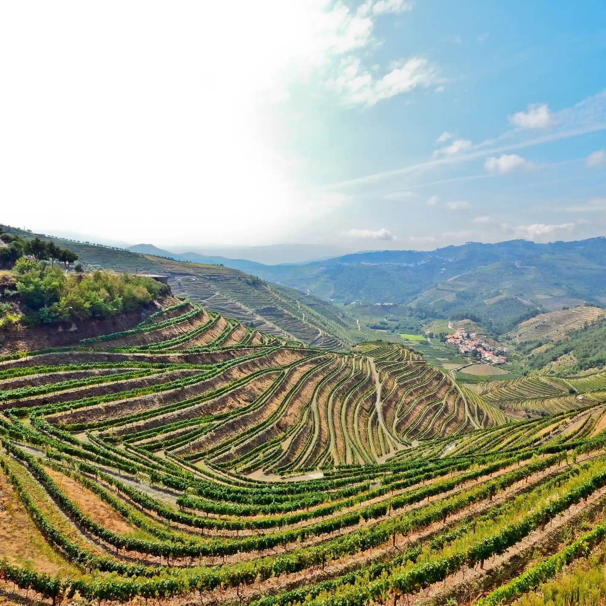 Northern Portugal: Discovering the Soul of a Nation Beyond the Tagus