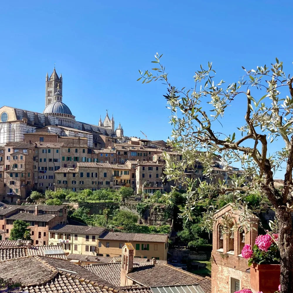 48 Hours in Siena: A Local's Guide to Tuscany's Rival City