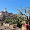 48 Hours in Siena: A Local's Guide to Tuscany's Rival City
